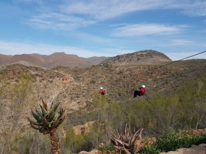 zipline-with-a-view